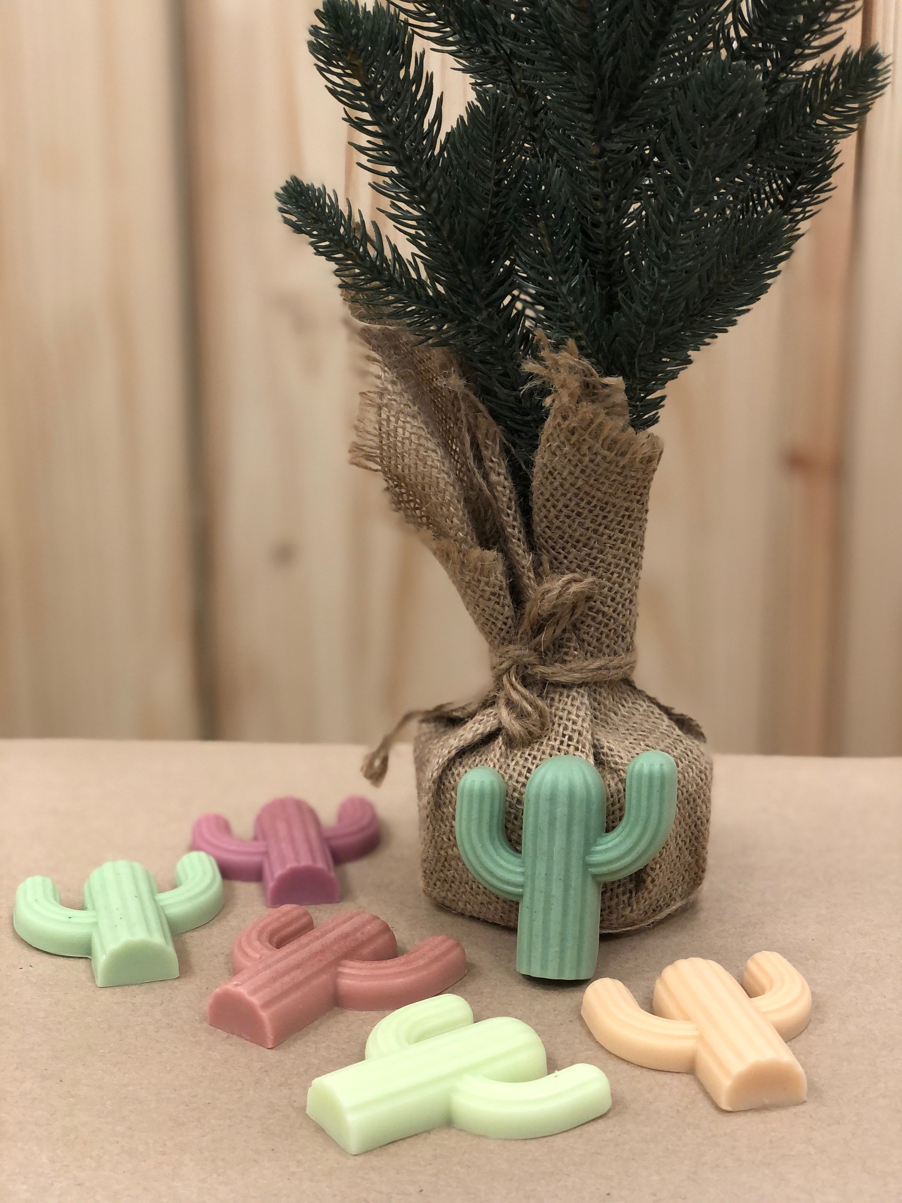 Desert Cheer Mini Saguaro Soap Trio